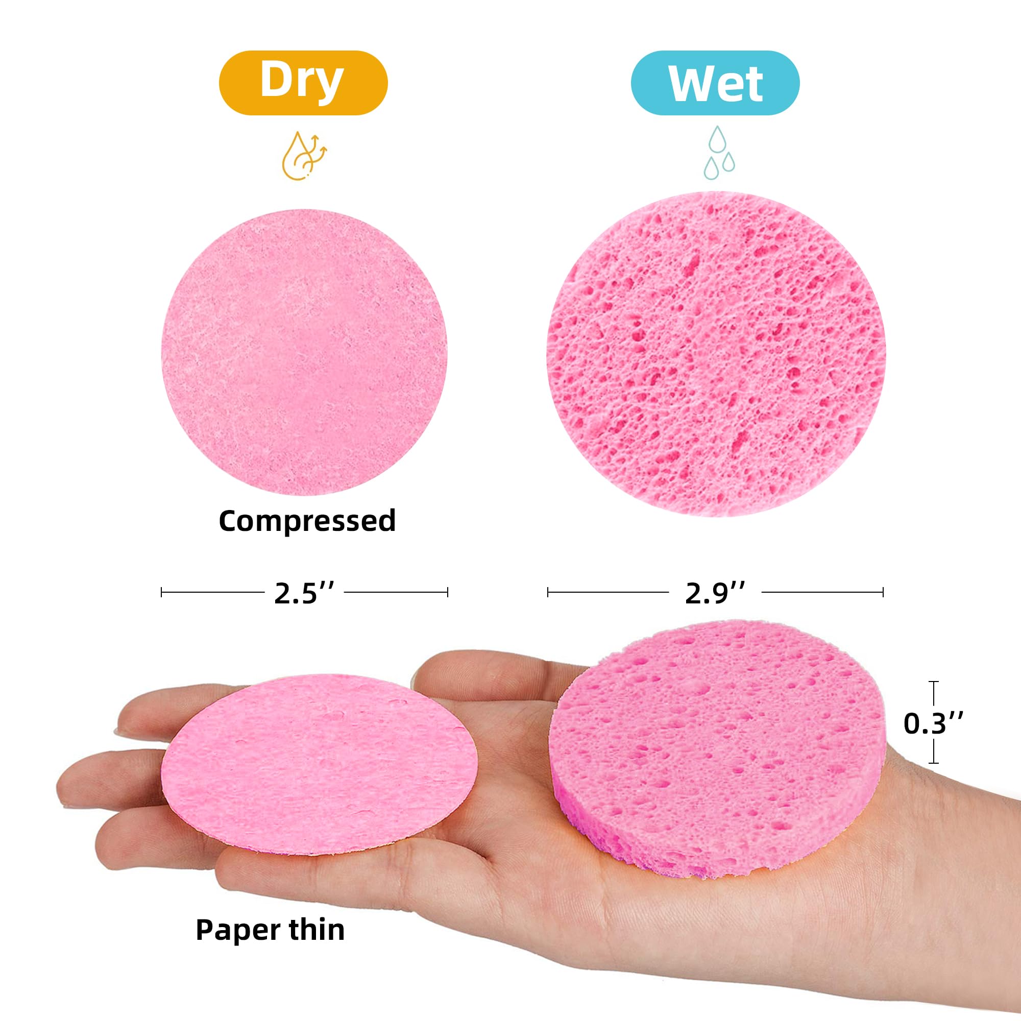 Kickleen compressed facial sponges unexpanded, palm-sized for easy grip during cleansing.