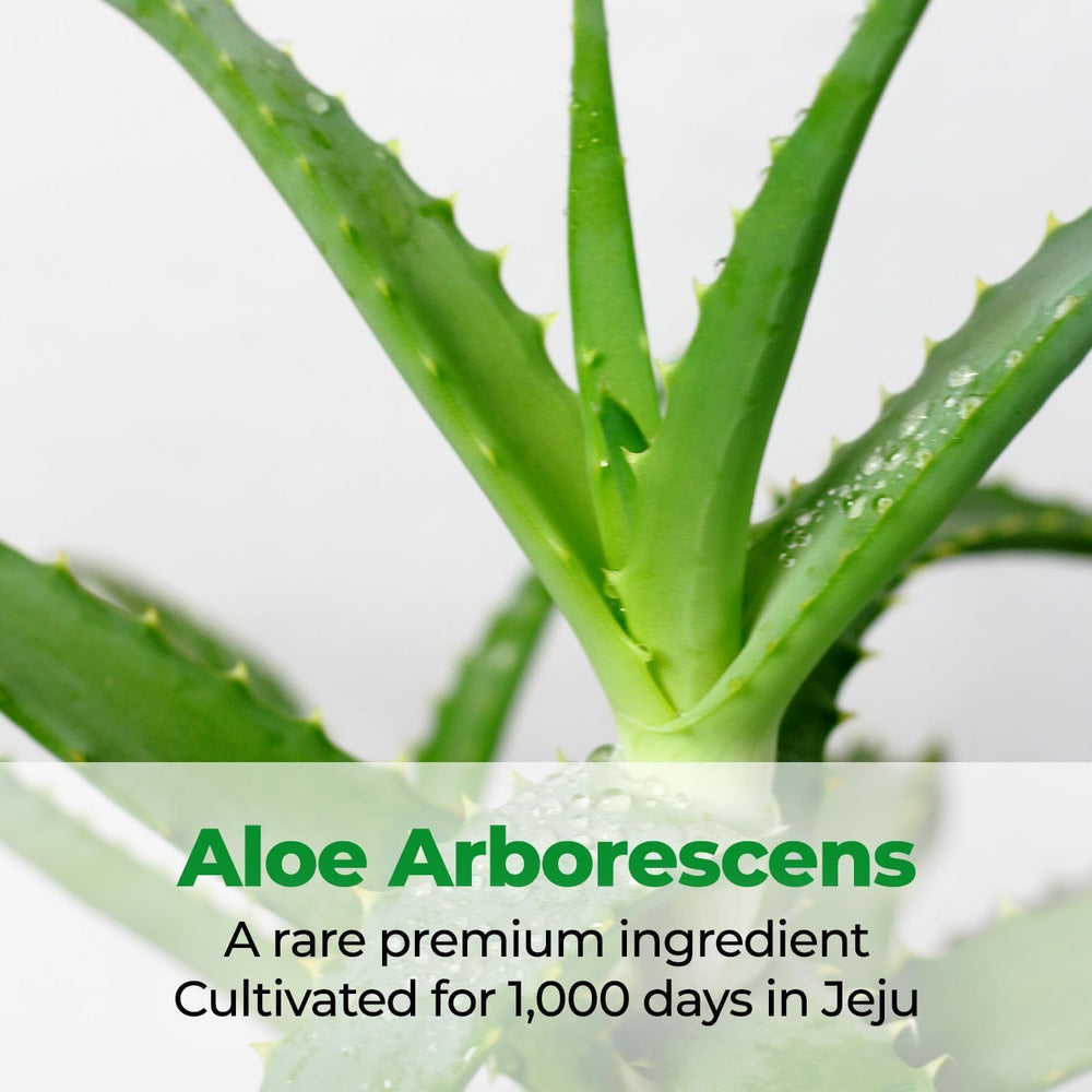 Kim Jeong Moon Aloe Cure Intensive 2X Cream Aloe Arborescens extract Jeju bottle close-up.