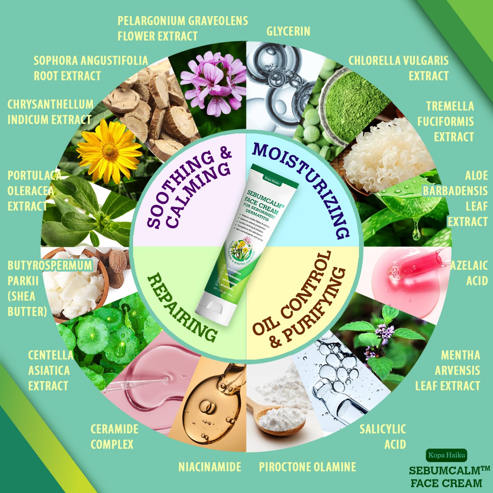 KOPA HAIKU botanical ingredients chart highlights plant-based antifungal action.