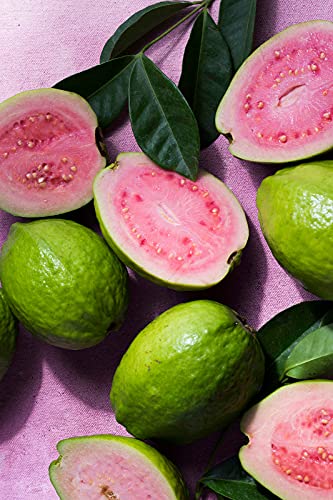 KORRES Guava Scent Shower Gel release vibrant aroma with skin-softening hydration.