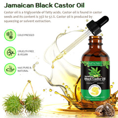 KPNEMA Jamaican Black Castor Oil label close-up with organic, cold-pressed cues