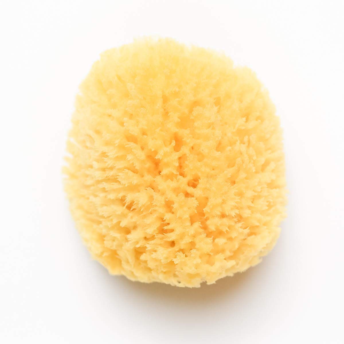 Kyte Baby Natural Sea Sponge close-up showing premium texture for sensitive skin cleansing.