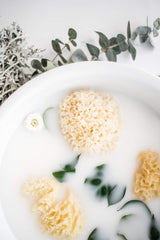 Kyte Baby Natural Sea Sponge highly absorbent for bath cleansing.