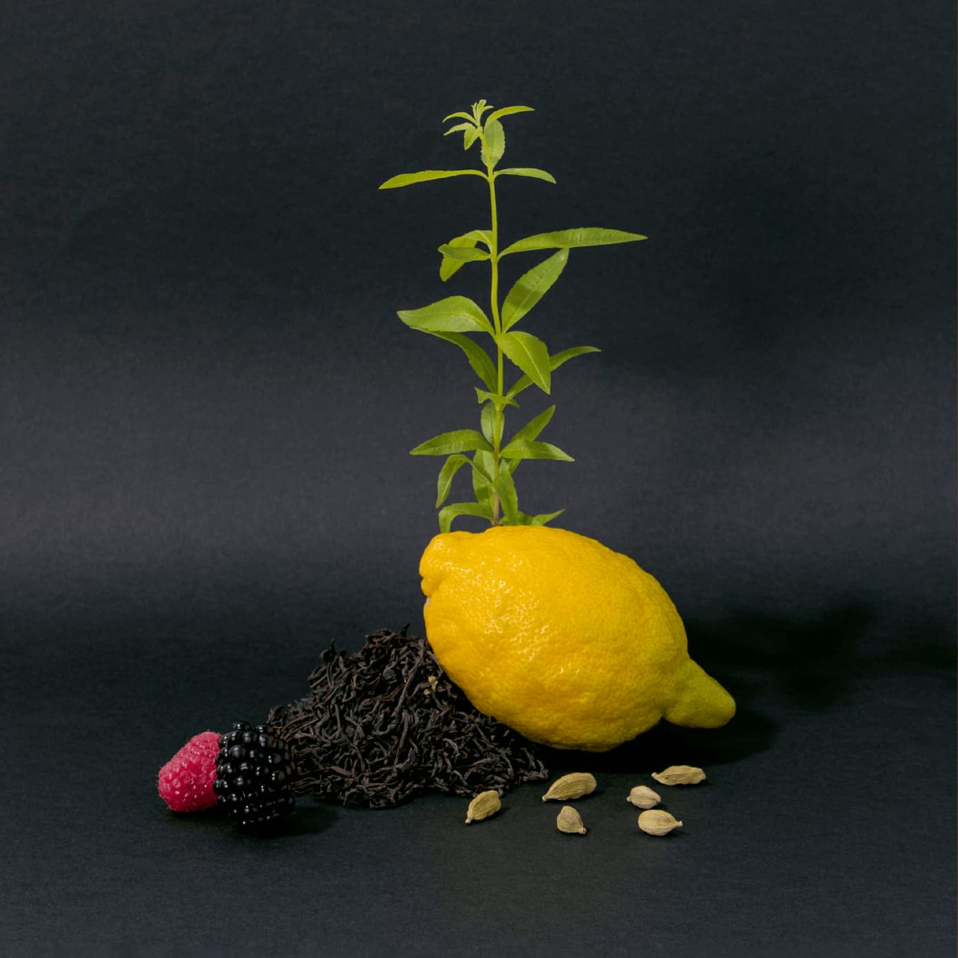 La Compagnie de Provence black tea fragrance close-up for mood-enhancing showers.