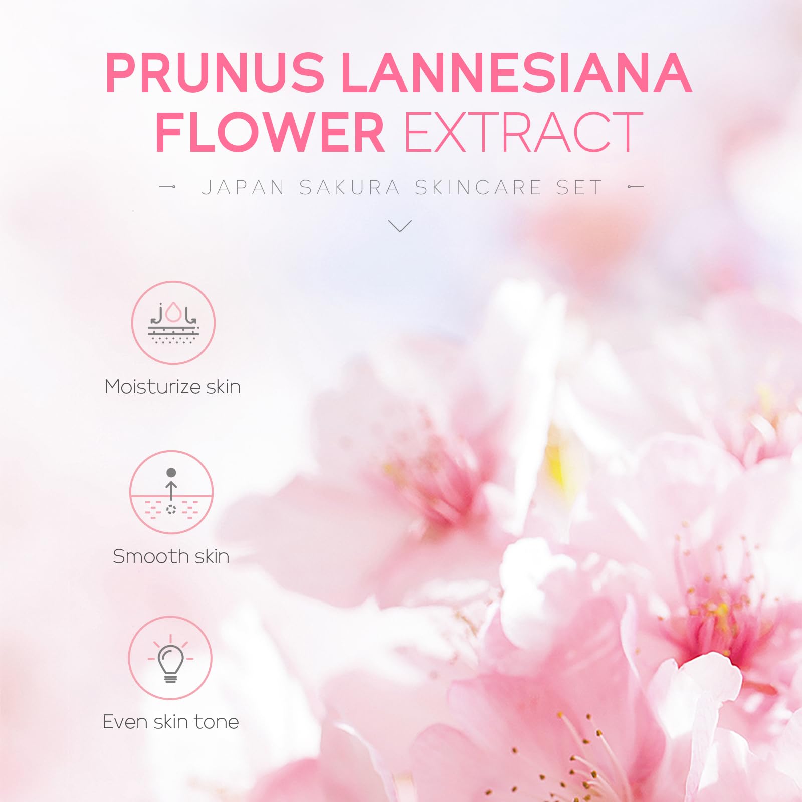 LAIKOU Sakura toner bottle showcasing hydrating skincare routine.