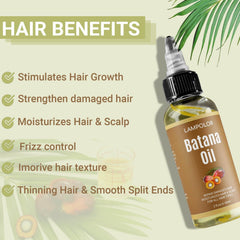 Lampolar Batana Oil application on hair demonstrates nourishing scalp care and frizz reduction.
