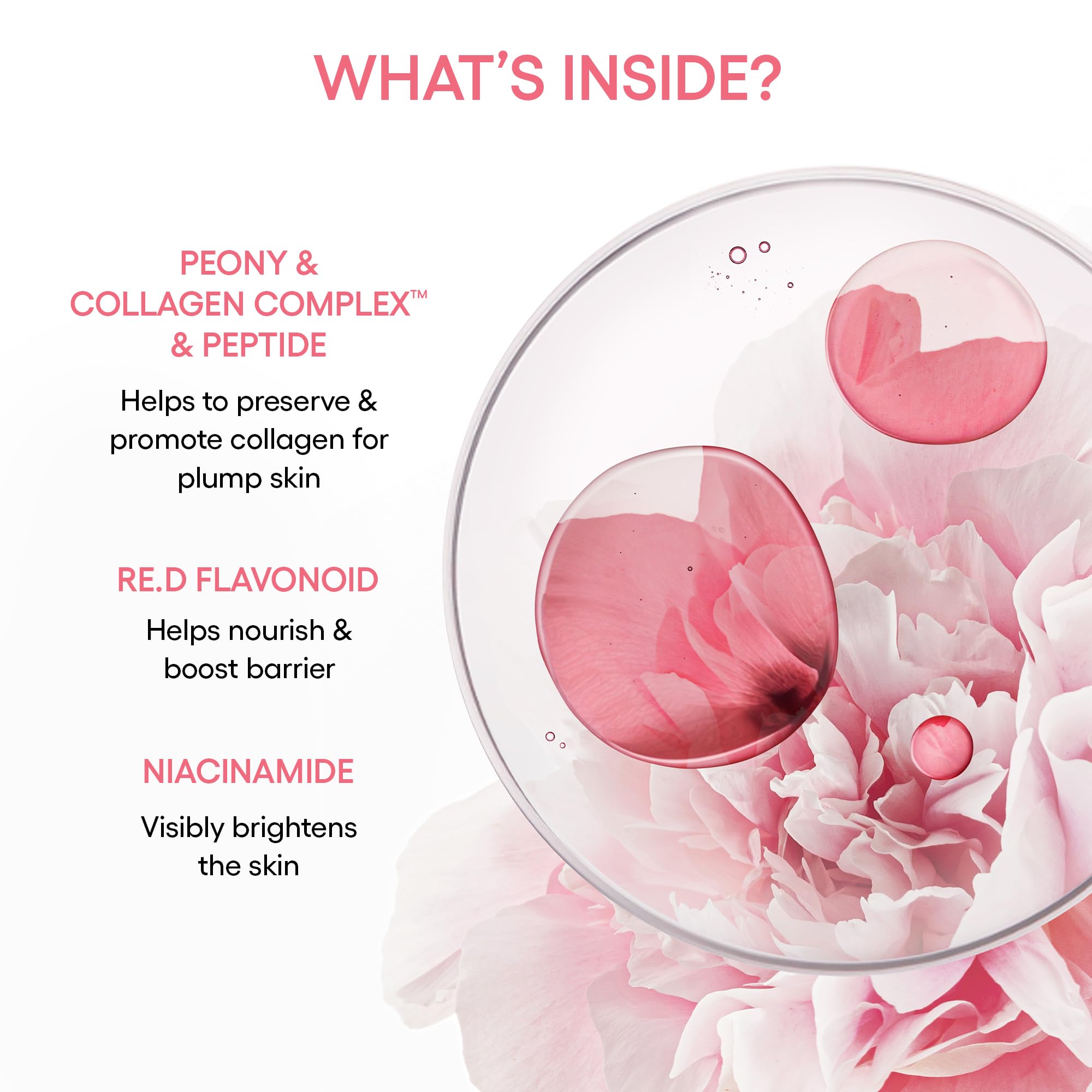 LANEIGE peony and collagen visual ingredient focus, suggests collagen support