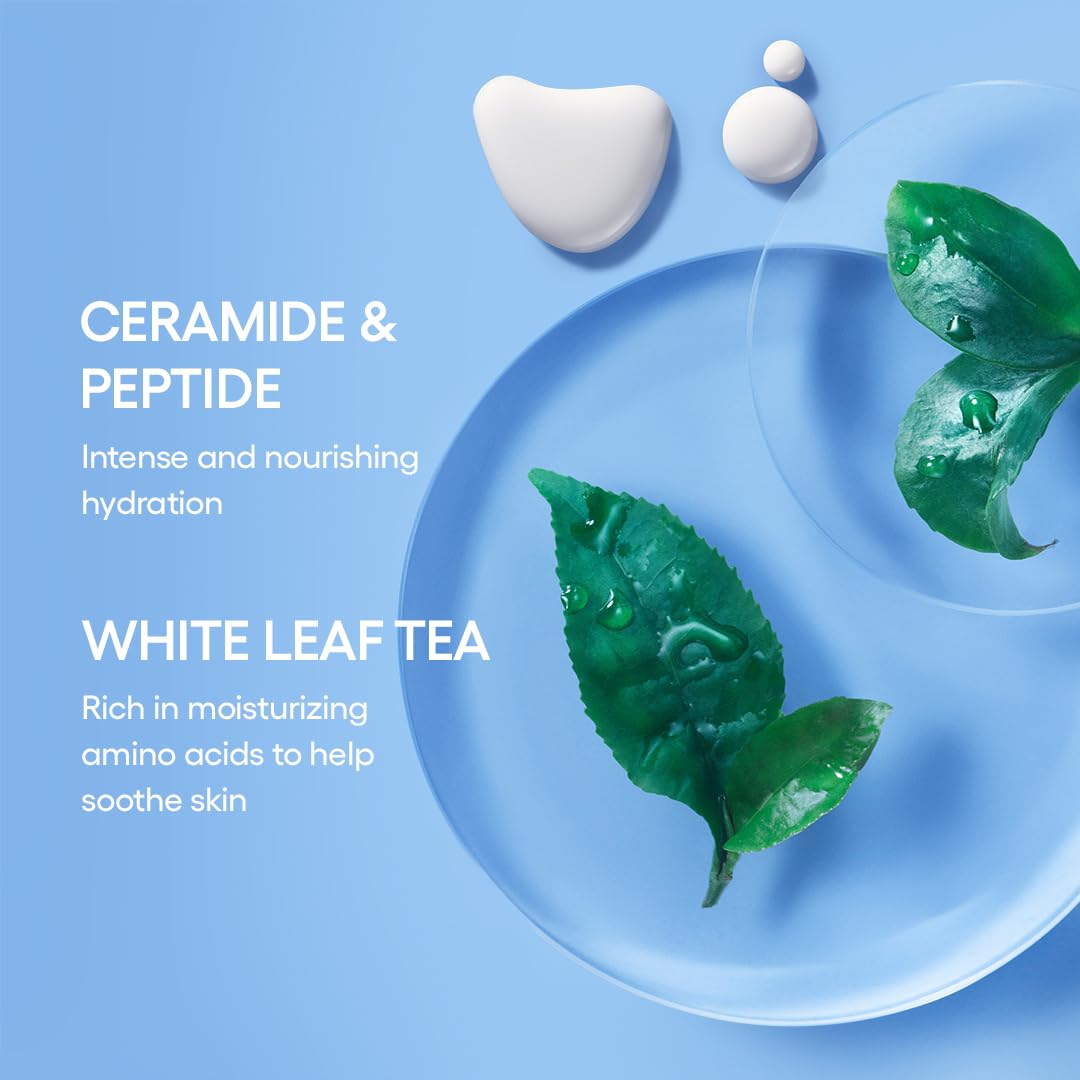 LANEIGE Lip Sleeping Mask berry jar highlighting nourishing, softening lip care