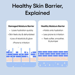 LANEIGE open jar with visible label highlighting peptide and squalane benefits