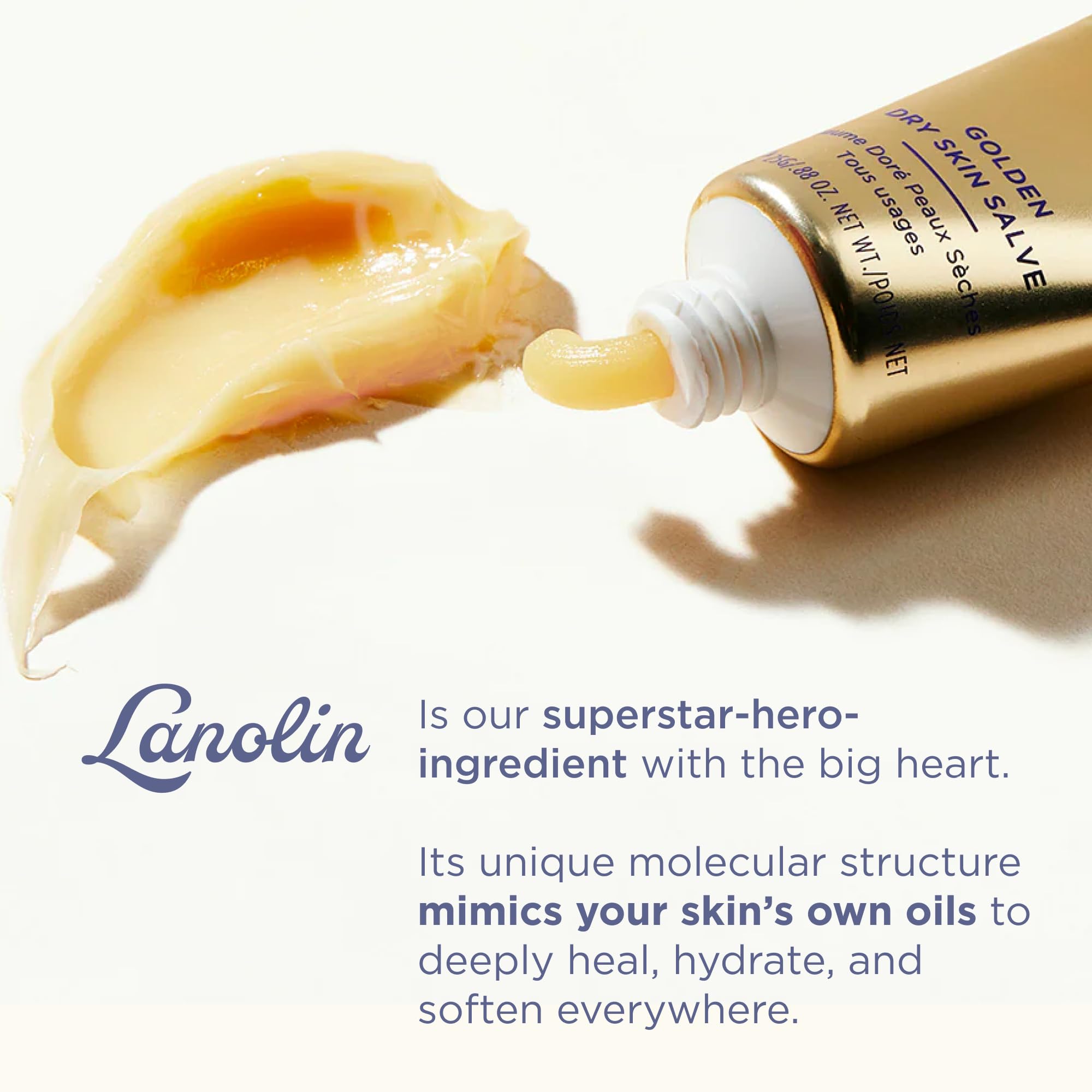 Lanolips Golden Dry Skin Salve jar close-up highlights creamy texture
