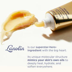 Lanolips Golden Dry Skin Salve jar close-up highlights creamy texture