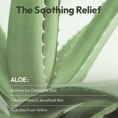 LAPCOS Aloe Sheet Mask close-up cucumber and aloe actives highlighted for soothing care.