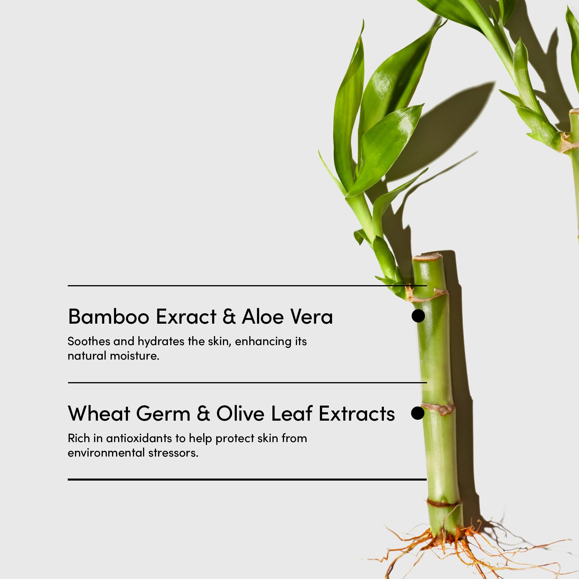 LATHER Aloe vera close-up emphasizes soothing hydration for all skin types.