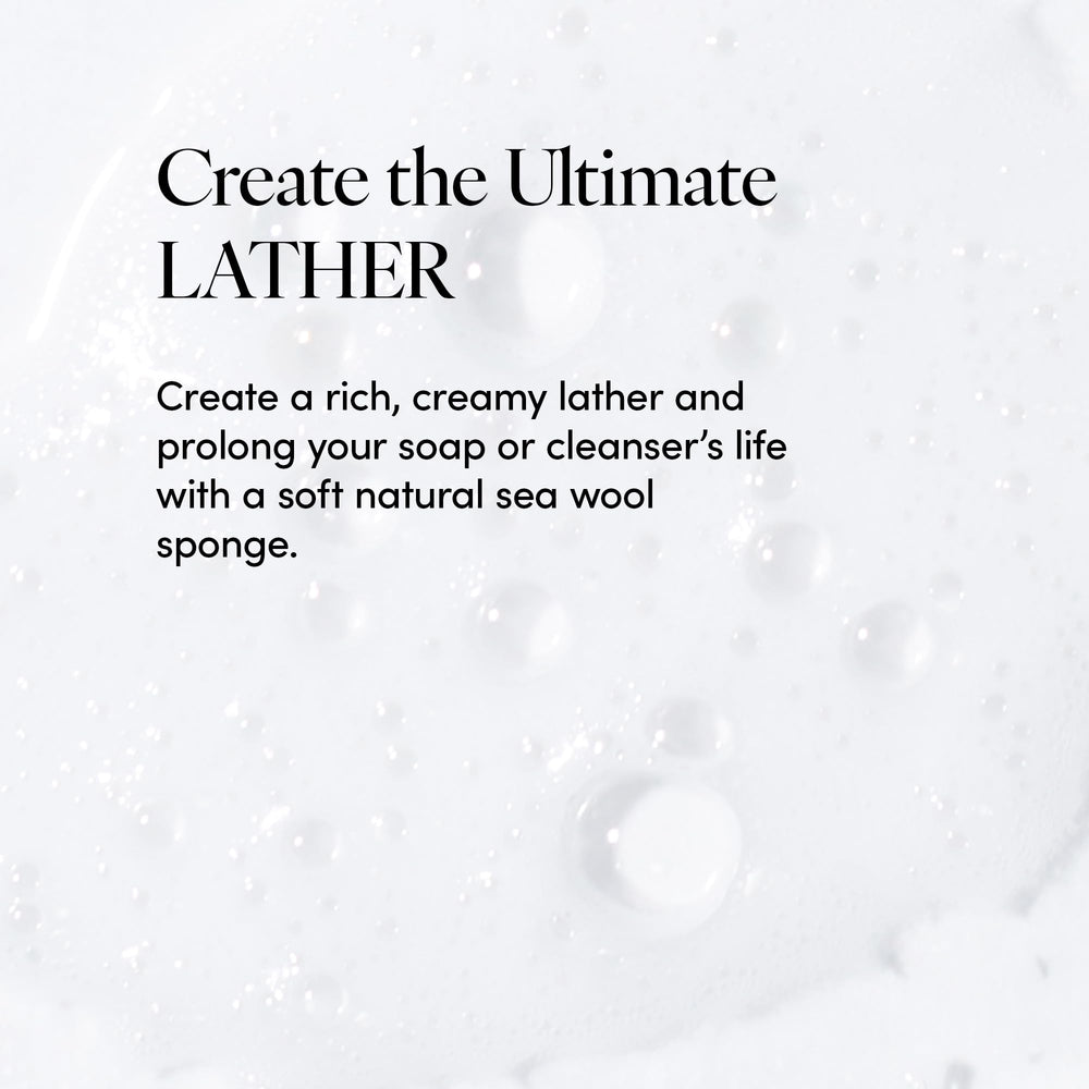 LATHER Florida natural loofah sponge for sustainable cleansing