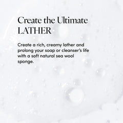 LATHER Florida natural loofah sponge for sustainable cleansing