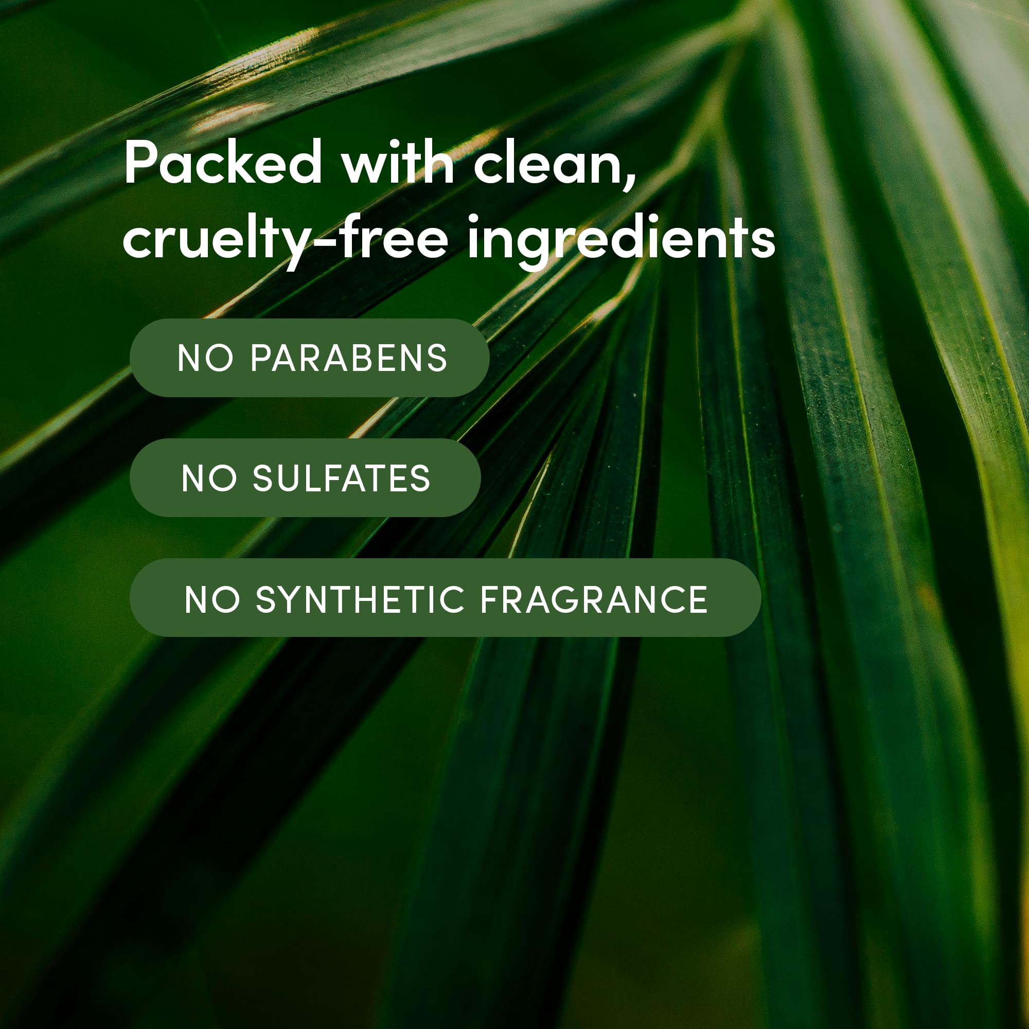 LATHER Bamboo Lemongrass ingredients highlight green tea and bamboo extract.