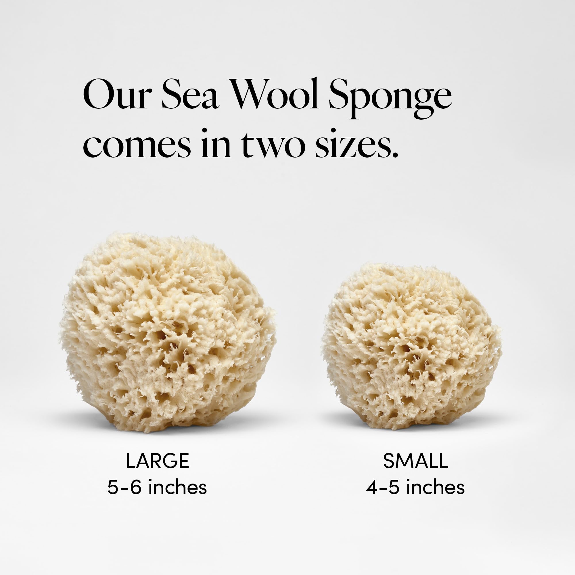 LATHER hypoallergenic sea wool sponge gentle on sensitive skin