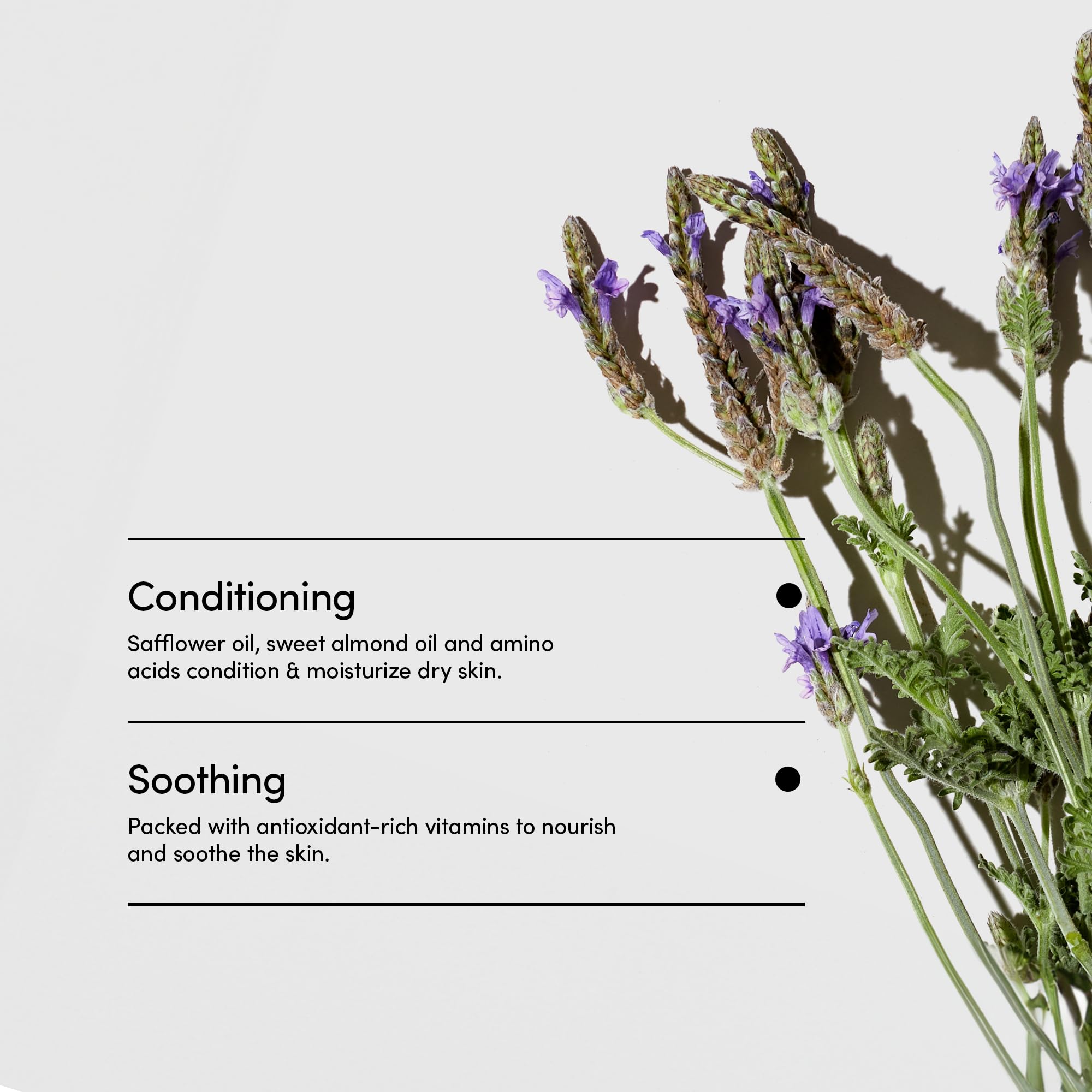 LATHER Lavender Lime packaging emphasizes vegan and cruelty-free credentials.