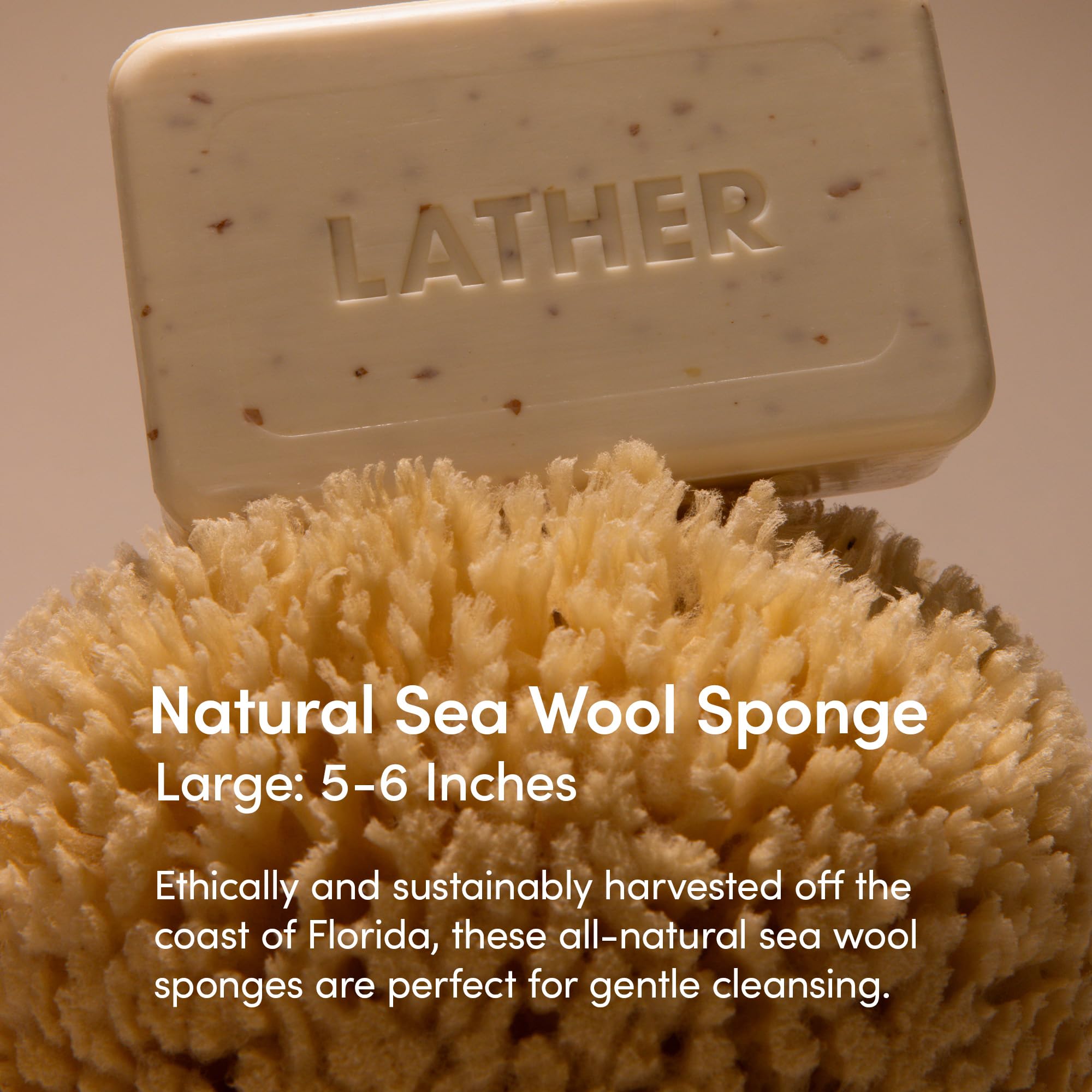 LATHER sea wool sponge shows soft lather for mild cleansing