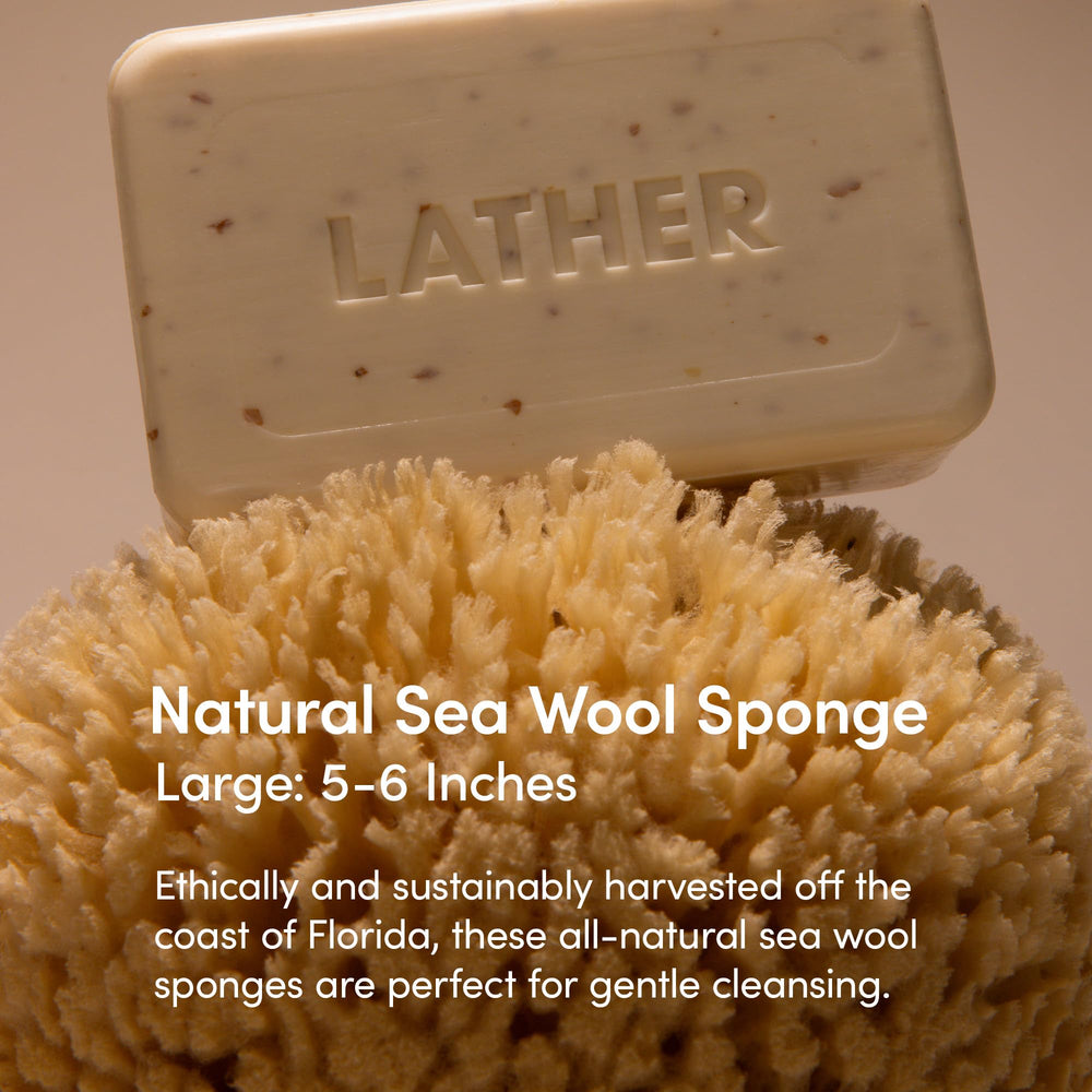 LATHER sea wool sponge shows soft lather for mild cleansing