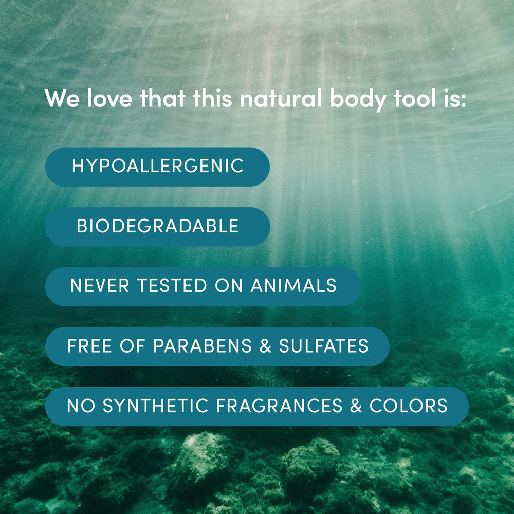LATHER wet sea wool sponge expands softly to create rich lather