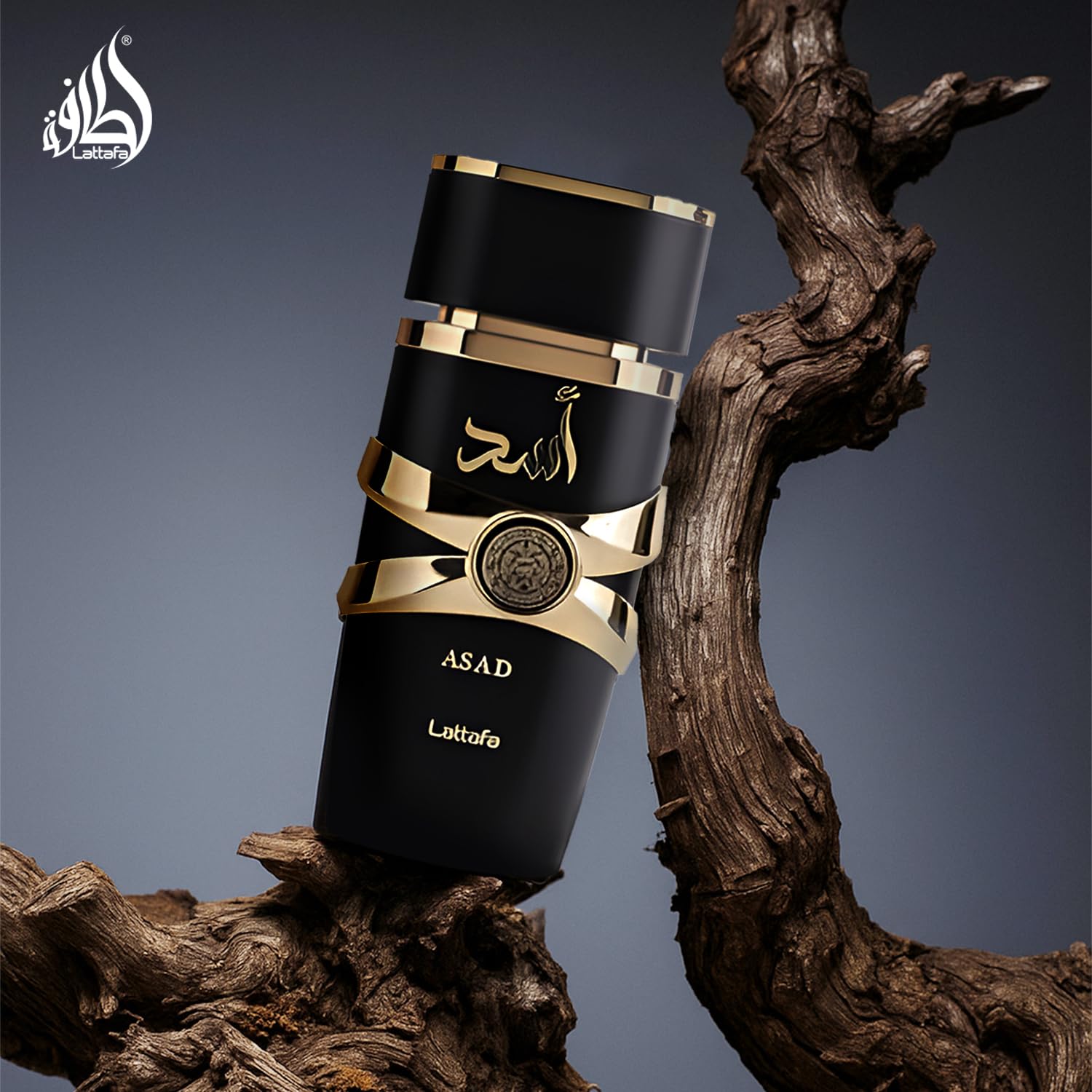 Lattafa Asad unisex wear for both men and women