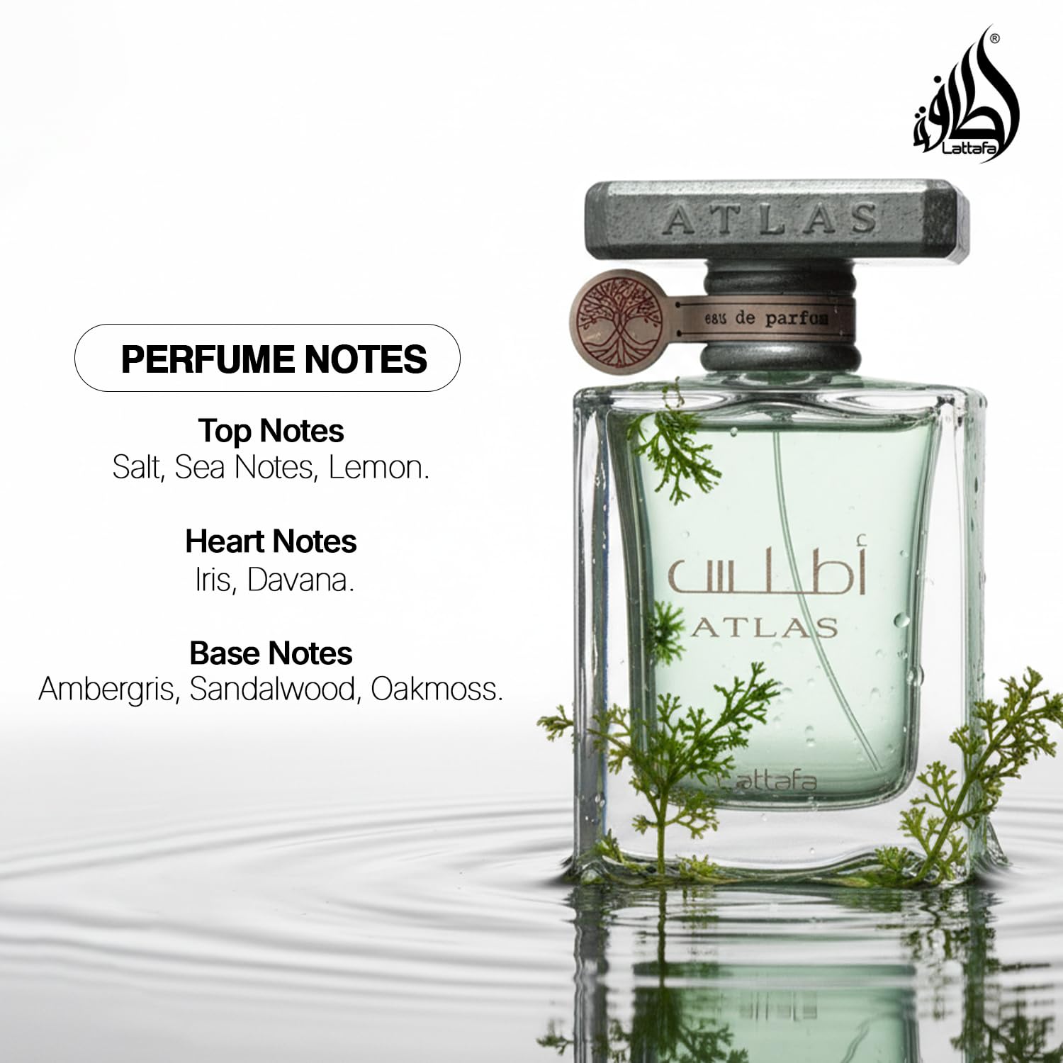 Lattafa Atlas close-up shows sleek label and luxurious cap for modern fragrance lovers