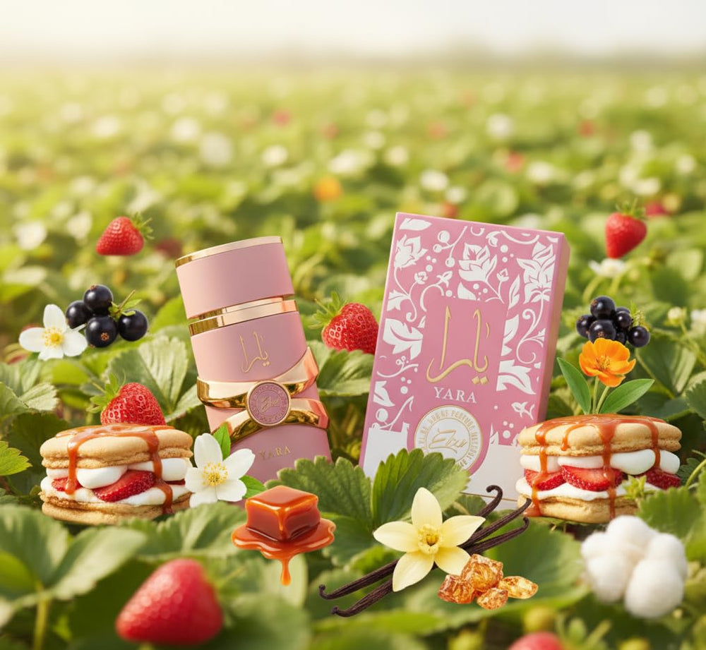 Lattafa Yara Elixir top notes scene highlights strawberry s'mores and currant energy.