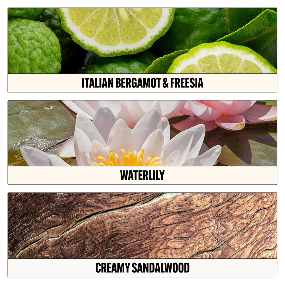 Le Monde Gourmand 000 bergamot detail with crisp citrus prelude.