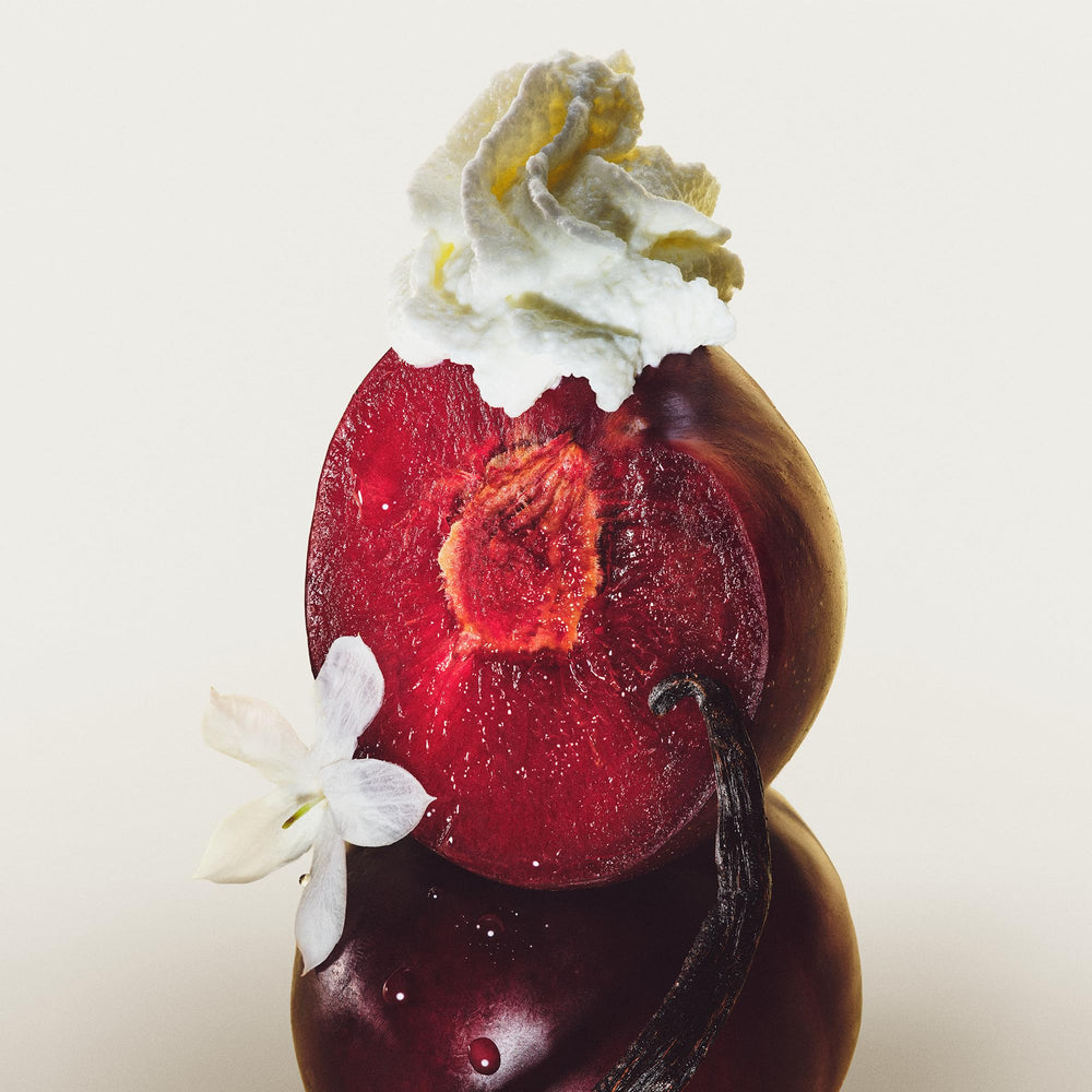 Le Monde Gourmand Aura de Vanille base notes illustration hints lasting sweetness and warmth.