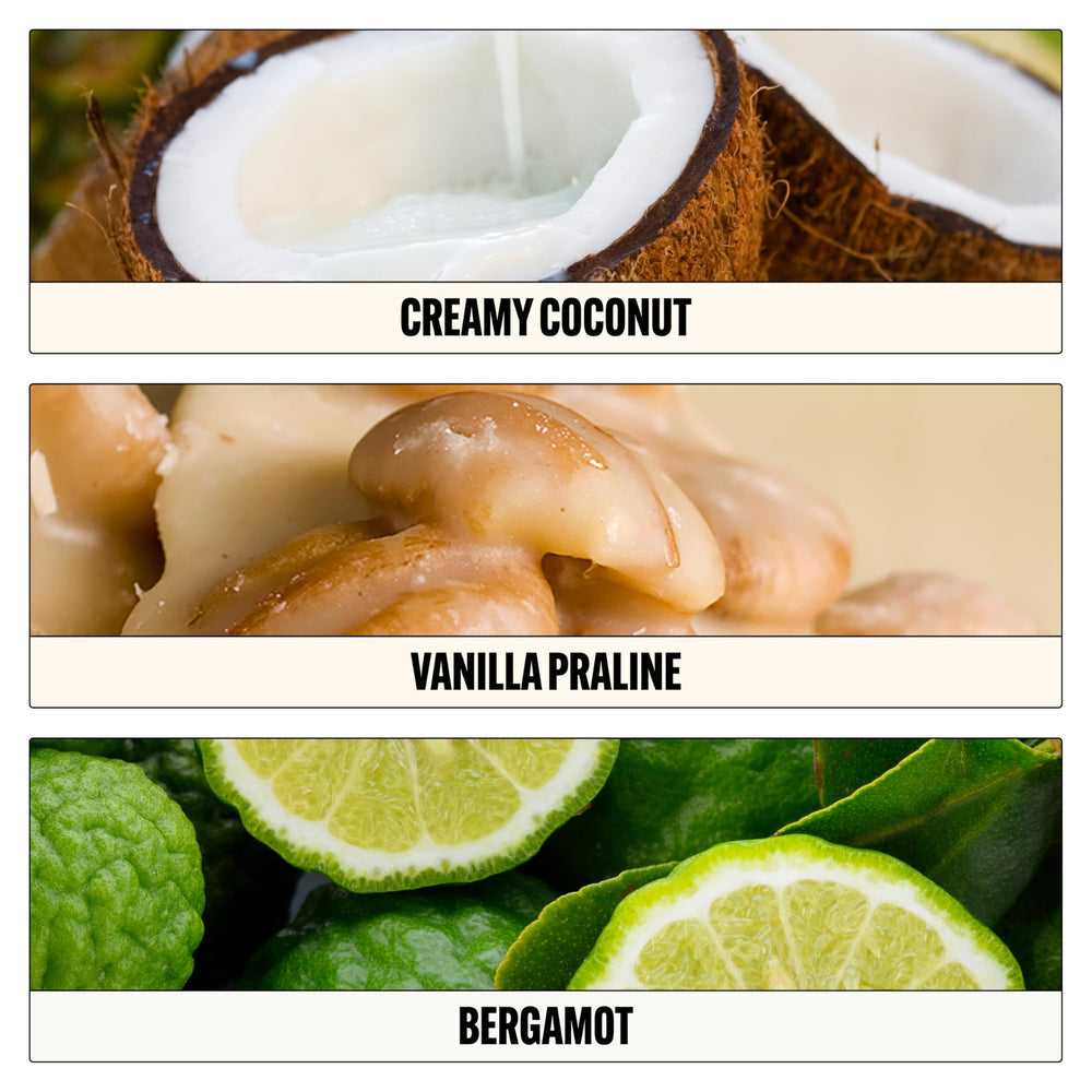 Le Monde Gourmand Lait de Coco pulse-point application shows wrists and neck ready for wear.