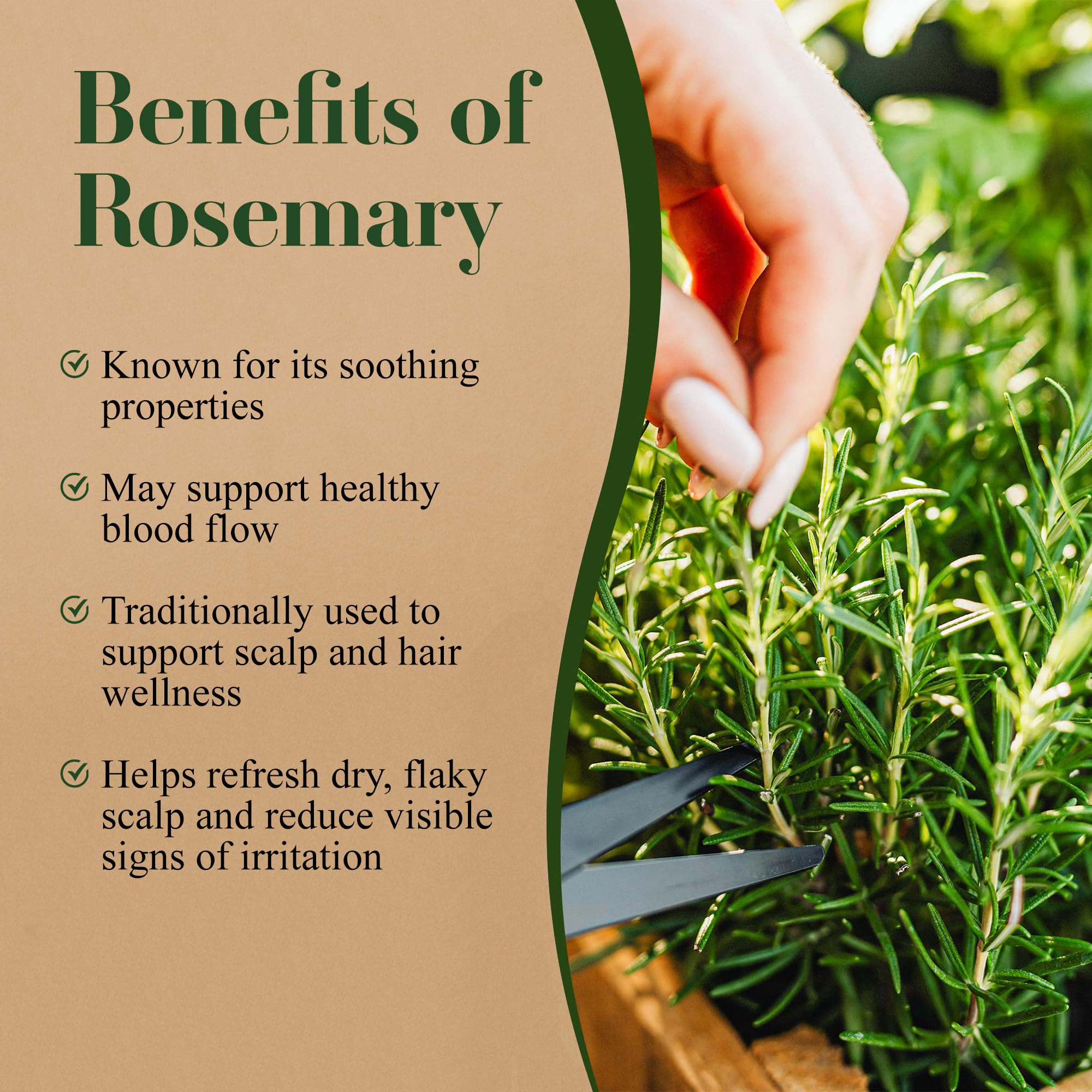 Lia Organics Rosemary bottle on counter—simple, everyday self-care ritual inspiration.