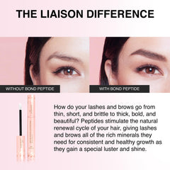 Liaison Brow Growth Serum before-after look demonstrates brow density.
