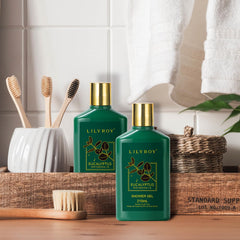 LILY ROY diffuser stick and reed diffuser visual highlights soothing room fragrance.