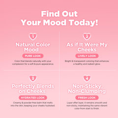 lilybyred Luv Beam Cheek Balm packaging close-up for portable use