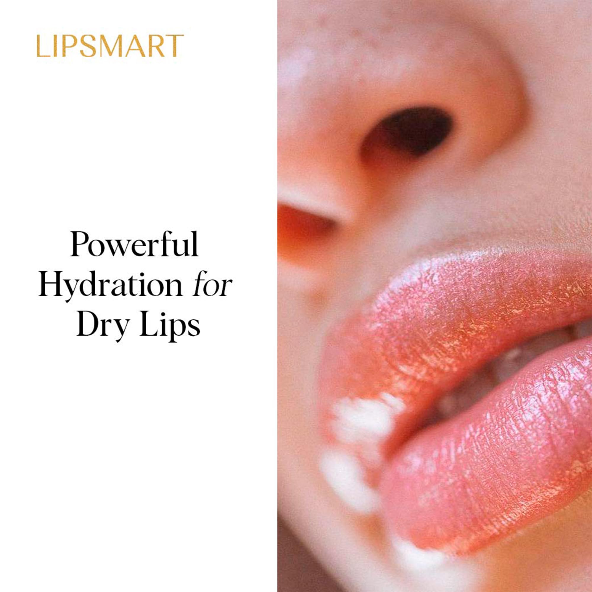 LipSmart tribehenin moisture barrier closeup indicates moisture pull and sealing action.