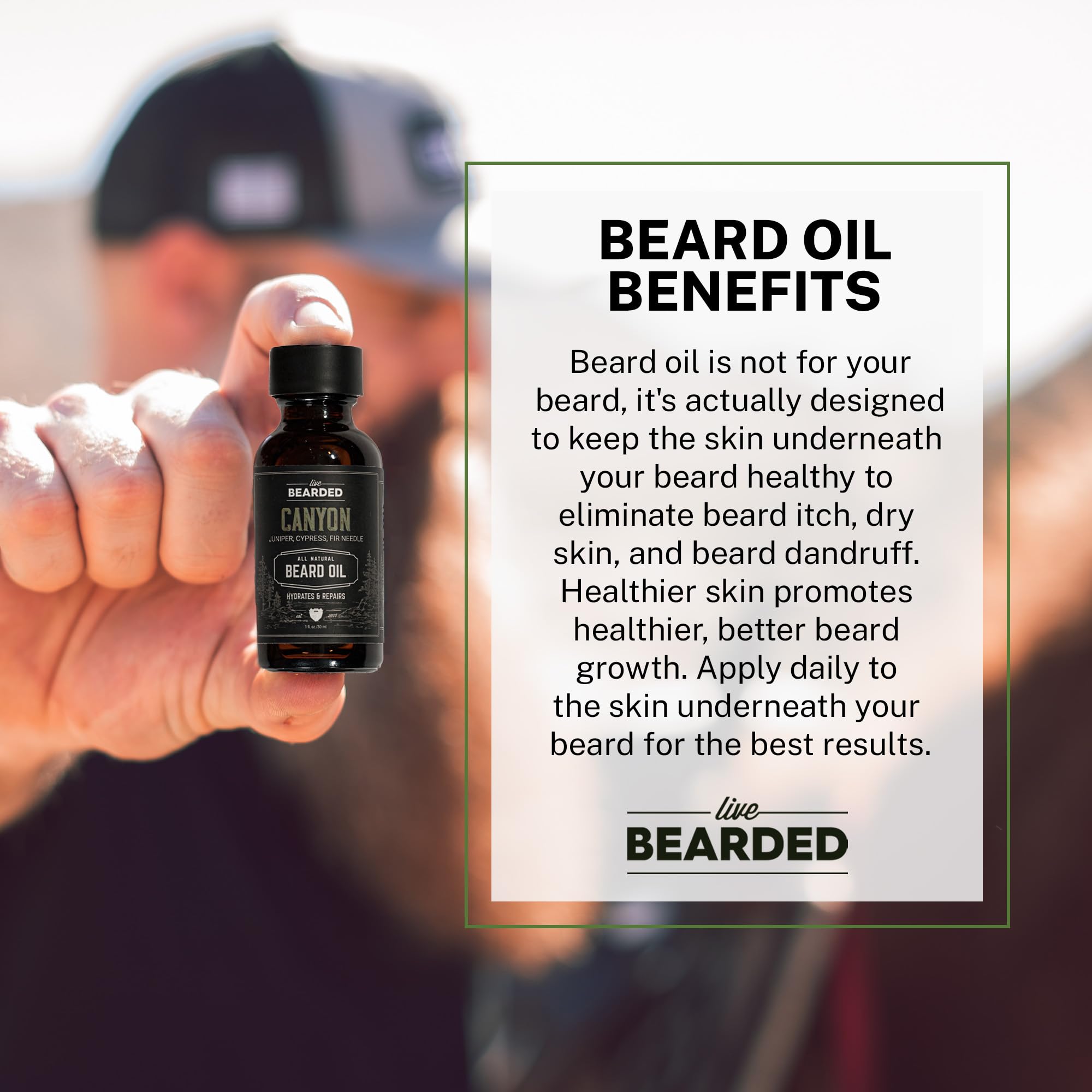 Live Bearded jojoba oil ingredient closeup emphasizing natural nourishment for hair and skin