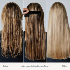 Living Proof Leave-In hair-softness highlights softer, more manageable hair.