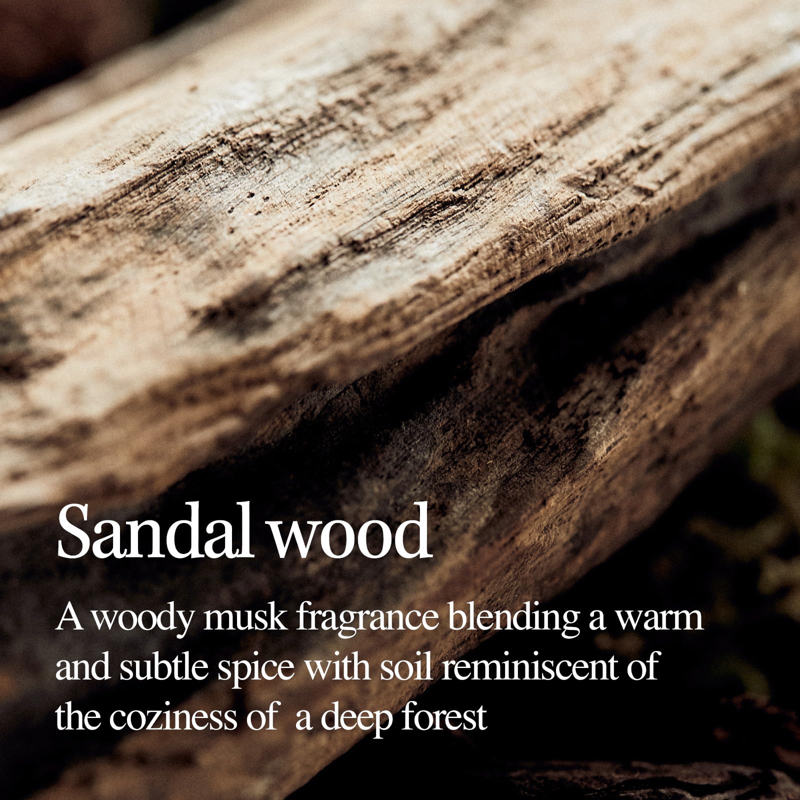 LONGTAKE Sandalwood Treatment close-up reveals shiny, feather-light hair result.