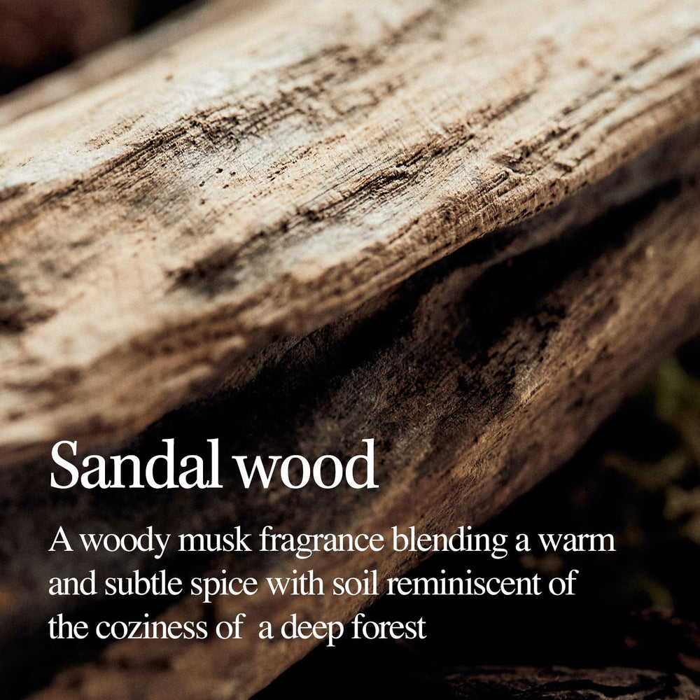 LONGTAKE Sandalwood Treatment close-up reveals shiny, feather-light hair result.