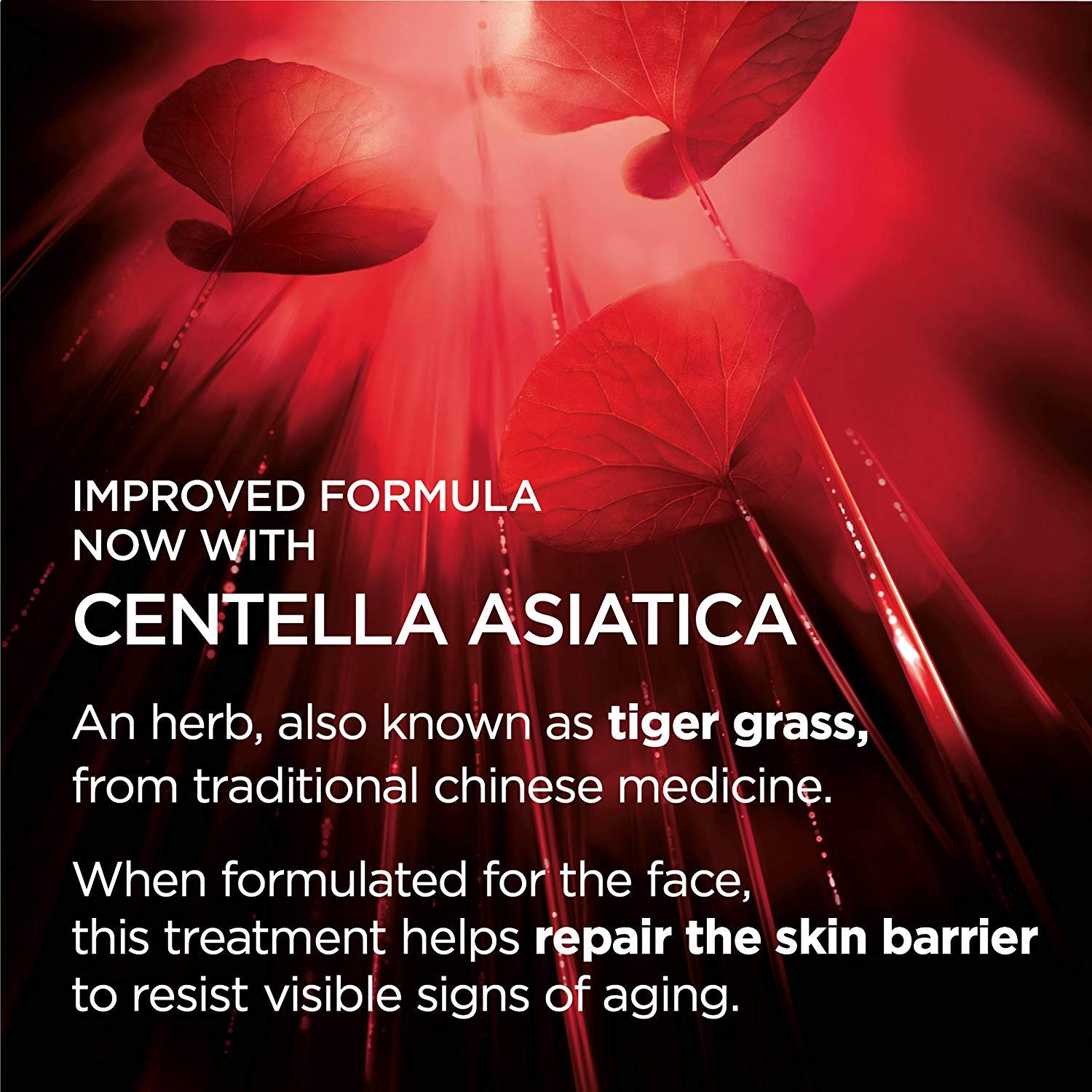 L'Oreal Paris Revitalift routine image marks anti-aging step in daily skincare ritual