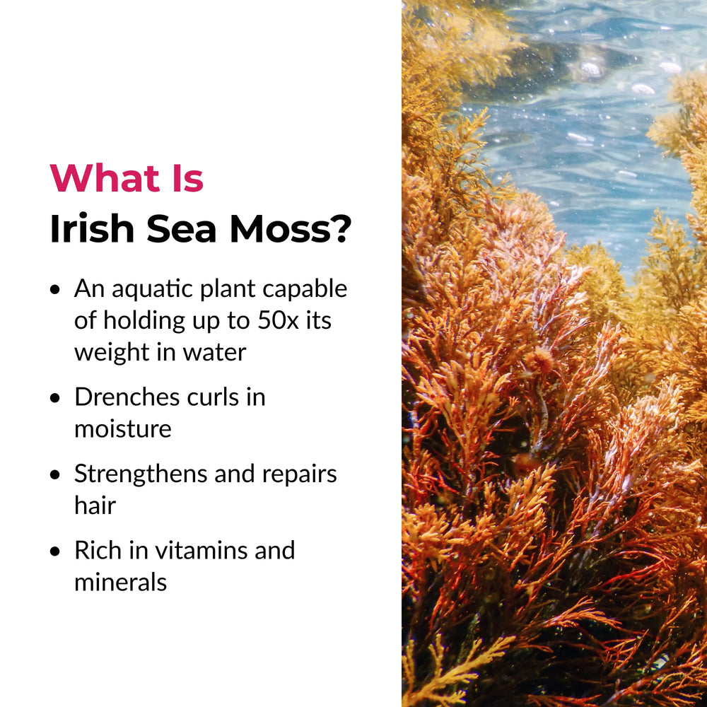 Love Ur Curls Irish Sea Moss Gel rice bran oil image suggests silky finish and scalp-friendly moisture.