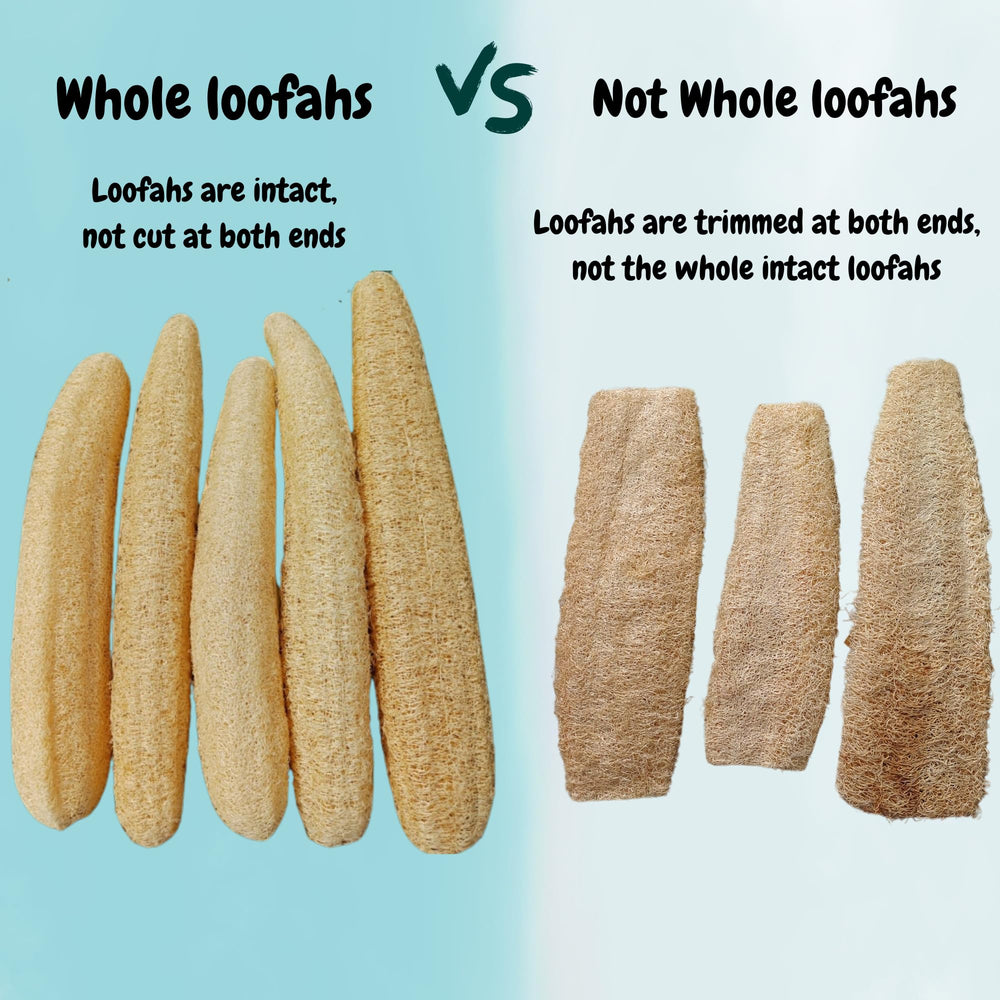 LUFAFY dish-use loofah as eco-friendly scrubber for utensils.