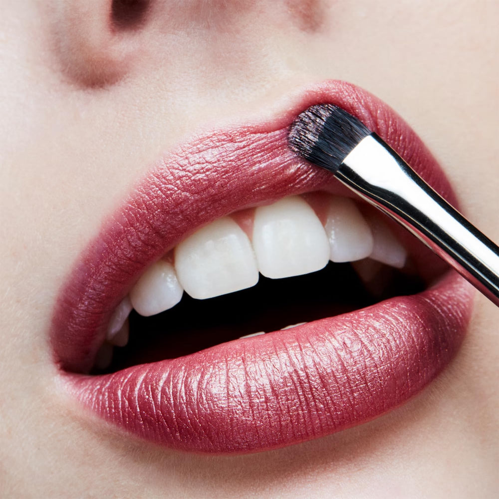 MAC Frost Lipstick Plum Dandy packaging close-up emphasizes premium design and gift-worthy appeal.