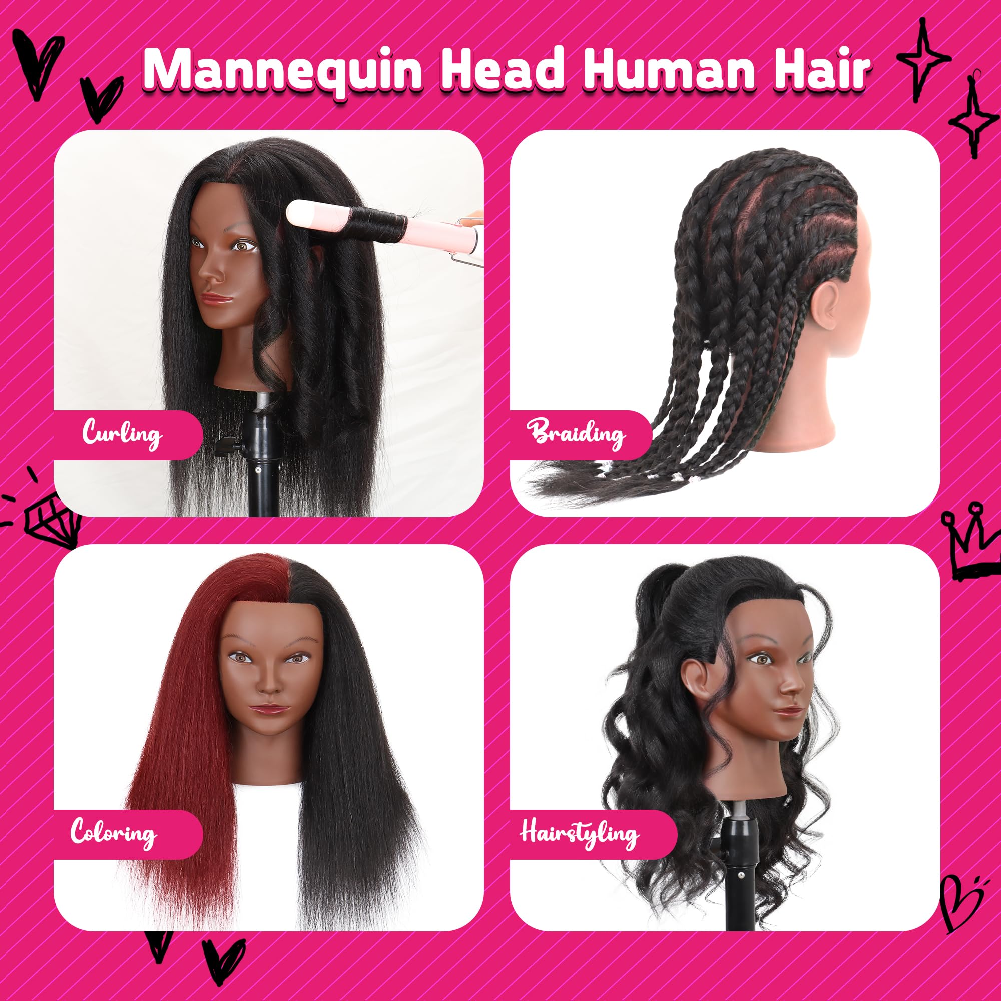 MannequeenHead mannequin head shows multiple braids for training