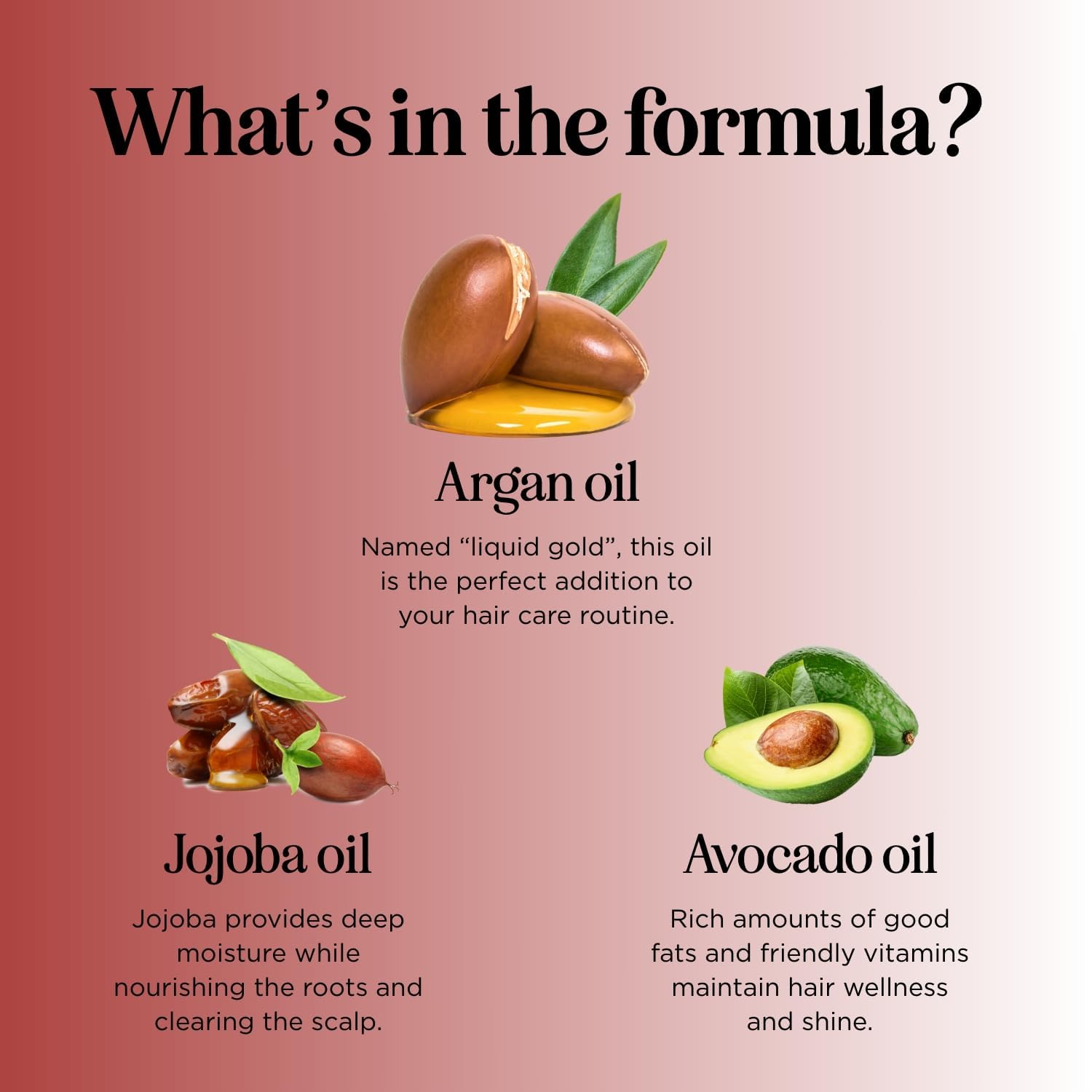 Maple Holistics Argan Oil Shampoo ingredients natural oils highlights Moroccan argan oil benefits