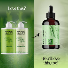 Maple Holistics Australian tea tree oil close-up emphasizing natural cleansing benefits
