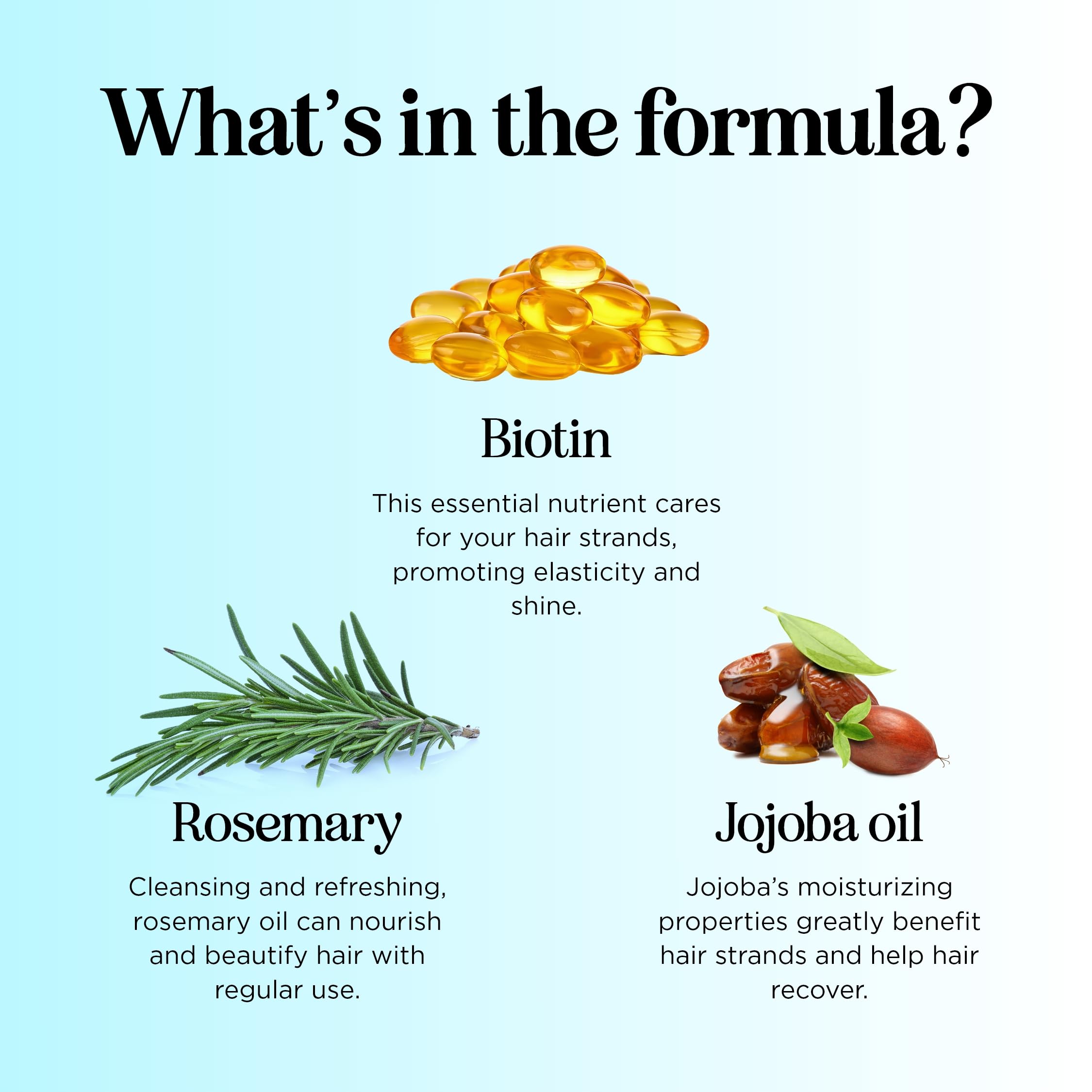 Maple Holistics Biotin Conditioner ingredients close-up showcases plant proteins