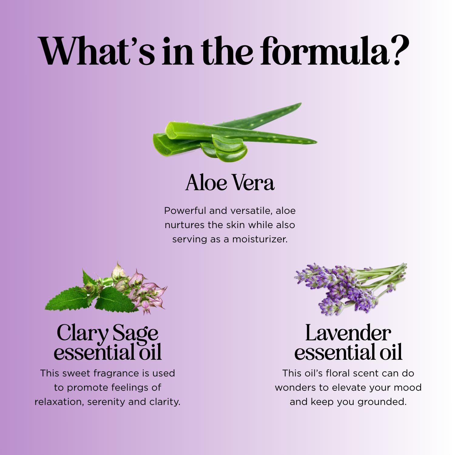 Maple Holistics label close-up highlighting sulfate- and paraben-free formula