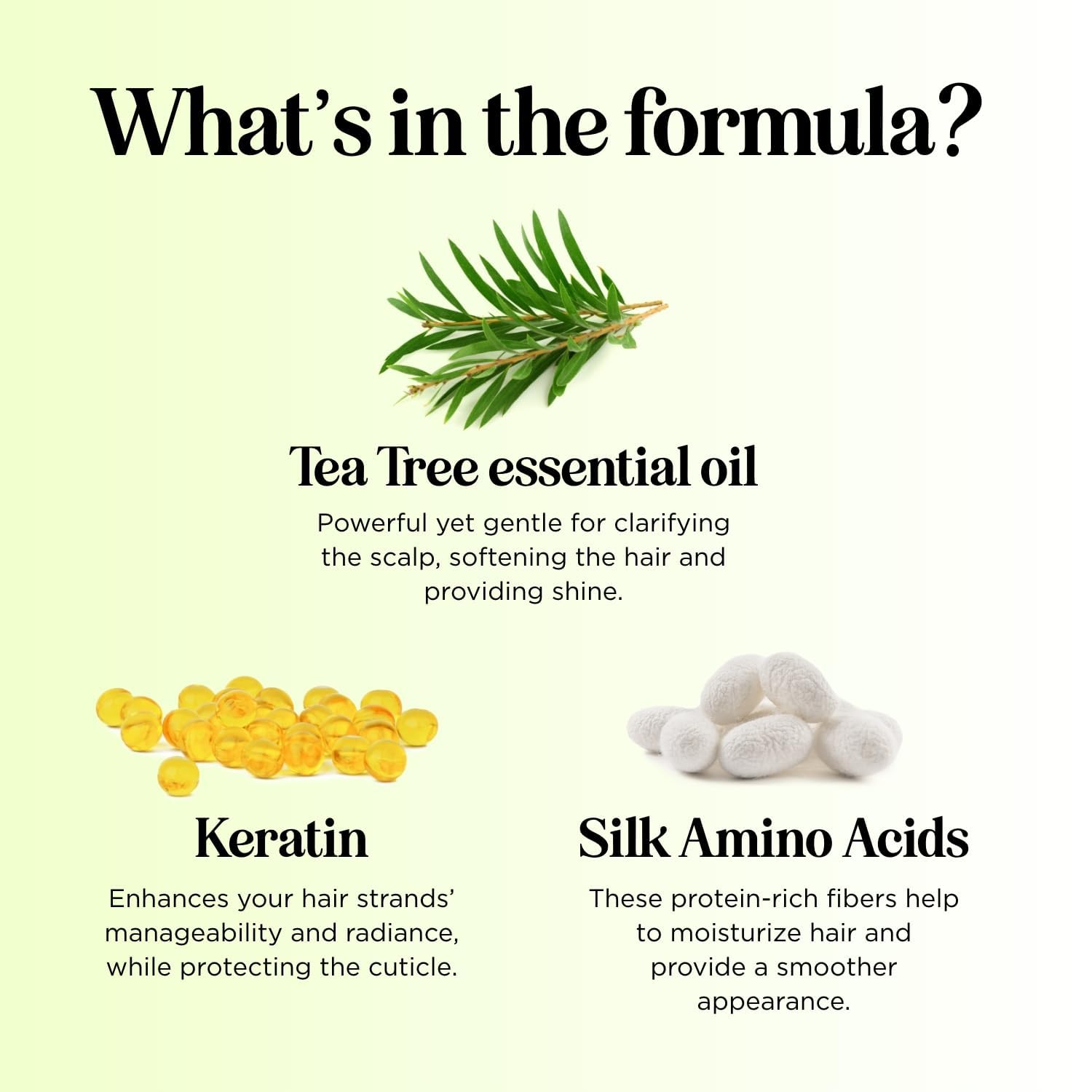 Maple Holistics natural oils lavender and rosemary illustration for scalp nourishment.